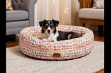 Cute-Dog-Beds-For-Small-Dogs-1
