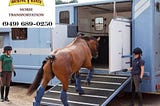 The Cost of Tranquility: Horse Transport Across California with Rocking Y Ranch