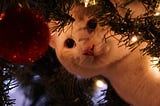 My Daughter’s Cat v.s. The Christmas Tree