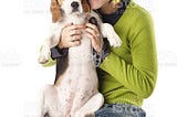 Beagle: Dog Breed Characteristics & Care