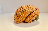 Simple Foods That Supercharge Your Brain