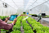 FARMING TECHNOLOGIES: BRING AGRICULTURE UP TO THE NEXT LEVEL