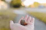 Why You Should Give Your New Grad an Acorn
