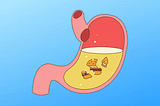 A cartoon GIF of a stomach—or some may say the “gut”—digesting a hamburger.