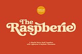 Raspberie - Retro Modern Cover Image 1