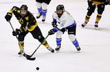 Creating the Ideal Professional Women’s Hockey League