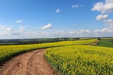 China, Canada, and Canola.