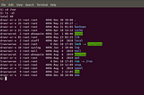 ownership and permissions in linux