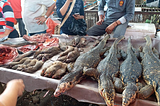 CALLS FOR BAN ON WILDLIFE MARKETS IN CHINA