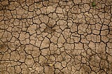 The World’s Biggest Problem: Soil Degradation