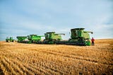 Several combine harvesters lined up in a row on a wheat field