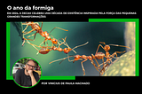 2025, O Ano da Formiga