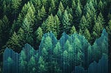 The Financial Illusion: The Deeper You Go, the Less You See