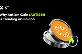 Autism Coin Explained: A Look at the Solana Meme Market