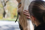 I Dropped Out of College and Rescued a Horse