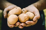 The Potato Is a Superfood