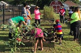 Pine Bluff, AR Planted Trees and Turned City Land into Gardens to Support Babies’ Health