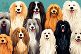 Create an image of a diverse group of medium-sized long-haired dog breeds standing together, showcasing their unique characteristics and coat textures. The dogs should be displayed in a natural setting to emphasize their beauty and playfulness.