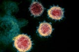 An analysis of the coronavirus in the UK from 2020 to 2024