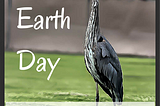 Earth Day 2024 — Sustainable Living