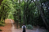 Two Roads to Better Communication