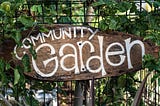 Should You Consider a Community Garden?