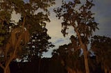 Late Spring in Savannah