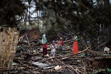 Mālama Labs: Scaling Trustworthy, Nature-Based Carbon Removal Through Regional Markets