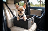 Small-Dog-Car-Seat-1