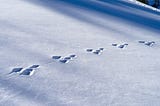 OpenTelemetry in .NET 10: The Instrumentation Gap That Makes Your Traces Useless