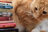 Orange cat looks at stack of books, as if reading the titles