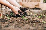 I Want to Be Composted When I Die