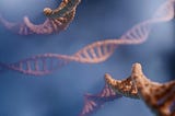 Hands-On Optimization Using Genetic Algorithms, with Python