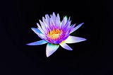 Blue Lotus: The Power of a (Helping) Hand