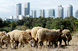 Some lessons from the Israeli tech ecosystem
