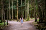 A person walking away from the viewer toward a fork in the road surrounded by trees. “Two roads diverged in a wood…”