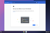 Remote debugging web apps running locally (in Chrome OS)