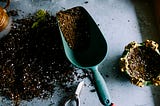 Secrets of Potting Soil: A Guide to Different Types and Their Ideal Plant Companions