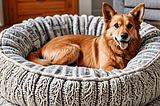 Dog-Bed-Blankets-1
