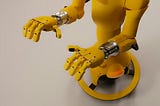 The Mirokaï : Where AI meets enchantment