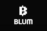 币安投资的 Blum 零撸教程