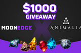 MoonEdge x Animalia $1k Giveaway Winners