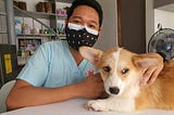 4 Diseases That Dogs Can Catch In Everyday Life