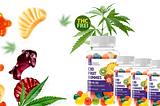 Why Sarah’s Blessing CBD Fruit Gummies Are Ideal for Beginners