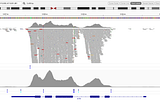 New SciDAP Workflow: Germline Variant Calling pipeline with GATK4