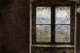 In a dark room, a 4 paned window looks into a green space. The windows are covered with spider webs and lichen.