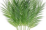 windiy-supla-8-pcs-artificial-areca-palm-leaves-stems-faux-palm-leaf-greenery-tropical-palm-tree-lea-1