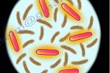 Clostridium Difficile