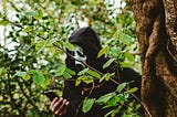 Guy in a scream mask, standing behind a tree and checking his phone