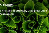Is It Possible to Effectively Debug Your Cloud Applications?